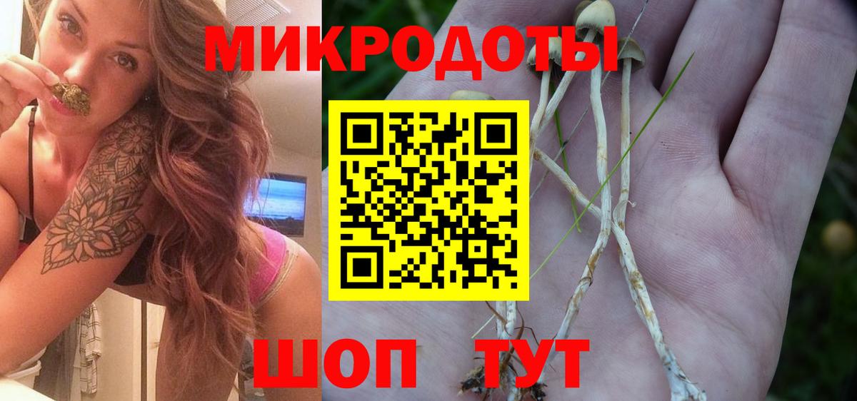 Галлюциногенные грибы мицелий  купить наркотик  Симферополь  Вход с VPN 